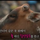 충남새활용협동조합