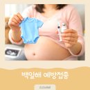 슈슈베베 | 임산부 백일해 주사 예방접종, 이 시기 놓치면 후회해요 (가족 접종 꼭 필요한 이유)