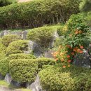 백남준로 이미지