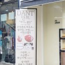단트(DANT) 이미지