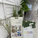 꽃길행복한그날 이미지