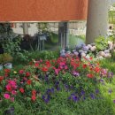 높은데이 스테이 이미지