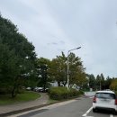 오천제일유치원 | 13개월 아기랑 광명동굴 방문 후기 (유모차 반입금지)