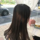 비비드 수헤어 이미지