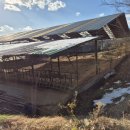 호법목장 이미지