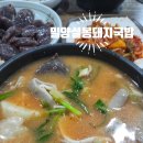 밀양맛집 밀양돼지국밥 "설봉돼지국밥" 내돈내산 후기