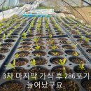 문종농장 이미지