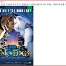 맘앤독스 이미지