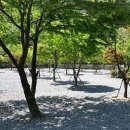 월악 한울캠핑장 이미지