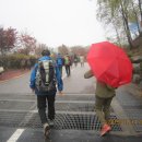 중앙초등길 이미지