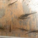 금병초병설유치원 이미지