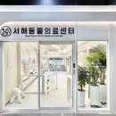 검암동물병원 이미지