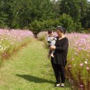 현대공원 앞 이미지