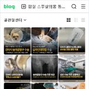 잠실종합동물병원 이미지