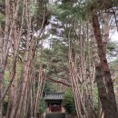 노량 해안도로길 | 남해 가볼만한 곳 / 남해 여행지 추천 리스트 (경남 남해군)