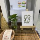 숲에온한의원 이미지