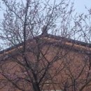 구암2리(진벌) 이미지