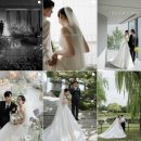 스튜디오 딥로드 | 더링크호텔 플라자홀 본식스냅 | 퍼스널서울, 로메스튜디오, 딥다운그린 고민 끝에 노이프로젝트 선택