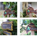 언덕위에 작은 민박 이미지