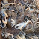 서희수산 이미지