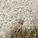 하얀고급세탁소 이미지