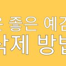 좋은예감