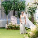 다르미앙 이미지