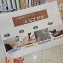 침·뜸·부항, 이 모든 게 한 곳에? 마석한의원인 나음누리한의원 후기!