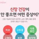 신장 이상 증상 신장 기능 신장에 좋은 음식 신장 자가 진단 이미지