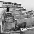 무학농장 이미지