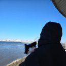 거북애견 | 오이도 빨간등대 강아지랑 산책한 후기 (주차팁 포함) | 시흥 1박 2일 애견동반여행 코스 대공개