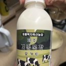 콩콩팜팜 보고 주문한 제주 건준 목장 요거트 솔직후기