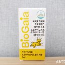 가이아인터내셔널 이미지