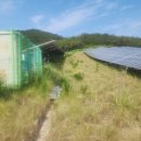 무성햇빛발전소 이미지