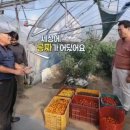 지내고탄로 이미지