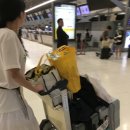 영남식품 이미지
