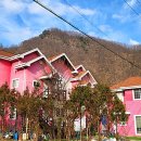 아이디펜션