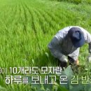 김석규 농장 이미지