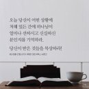 불평의 문제 / 캐런 이먼 &amp; 루스 슈벤크 이미지