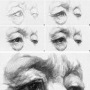 유화(오전) 이미지