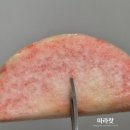 적보농장 네이버블로그