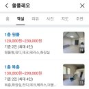 쏠플레오 이미지