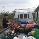 뀨부부 가을캠 (용인자연숲캠핑장)