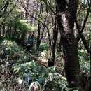 덕음정 | [등산 왕초보]내 인생 처음이자 마지막 한라산 후기/관음사 코스로 왕복 10시간/등산 필수템 추천