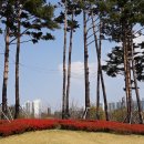 ㈜이마트 트레이더스 서면점 이미지