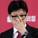 [단독]한동훈 가족 이름 ‘尹 비방글’ 작성자 추가 고발 당해 이미지