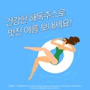 카모터스 이미지