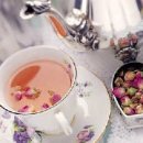 문화꽃화원 이미지