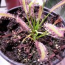 아델라농장 이미지