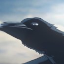 물반고기반 이미지